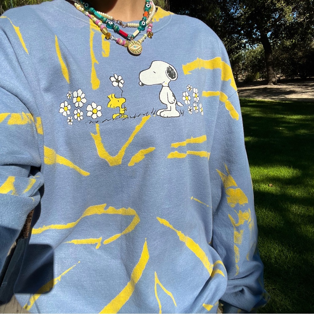 Indie peanuts sweater (pacsun)